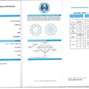 DI00693209