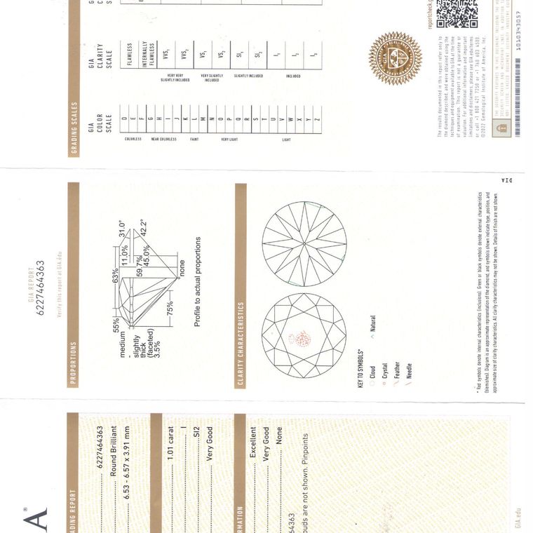 DI00694529