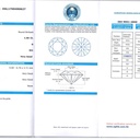 DI00693279
